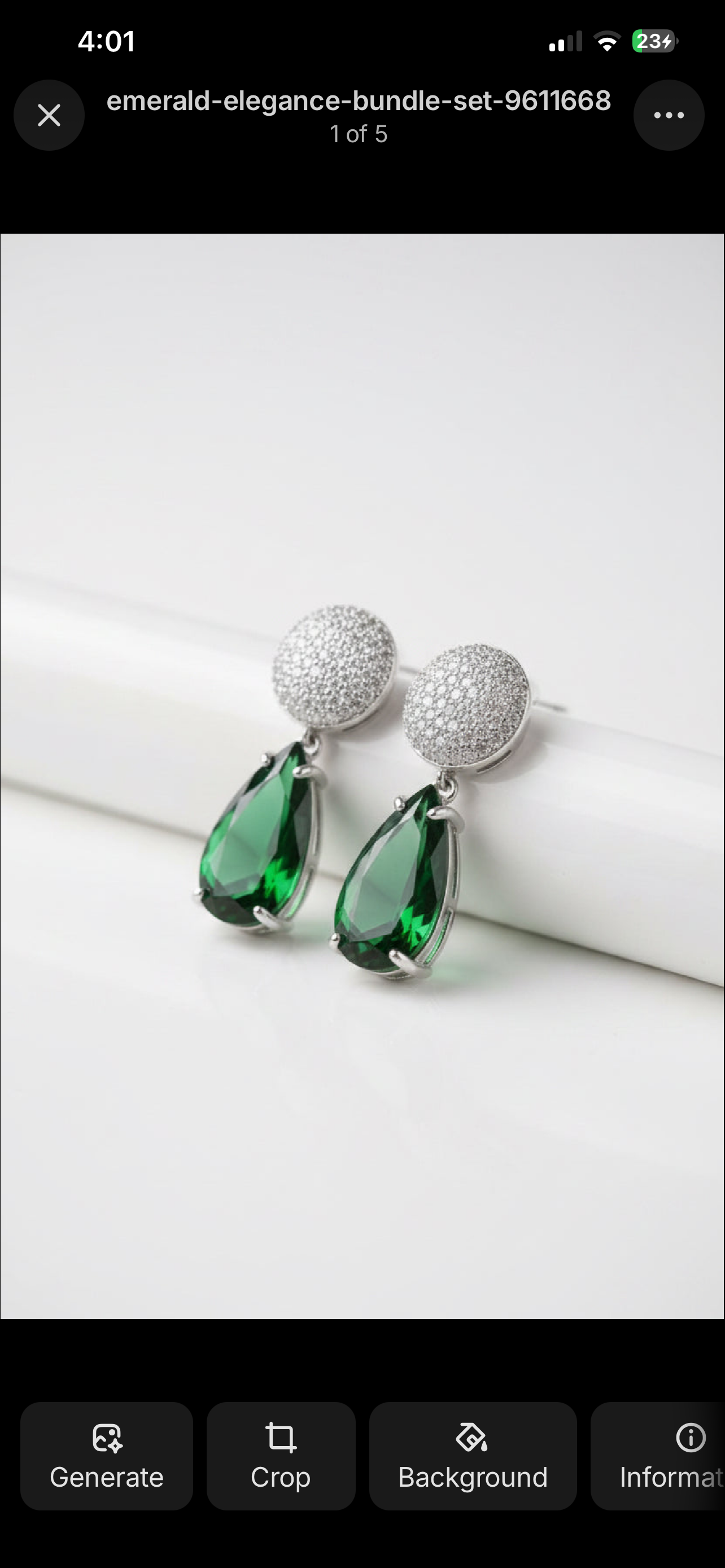 Earrings ( Silver )